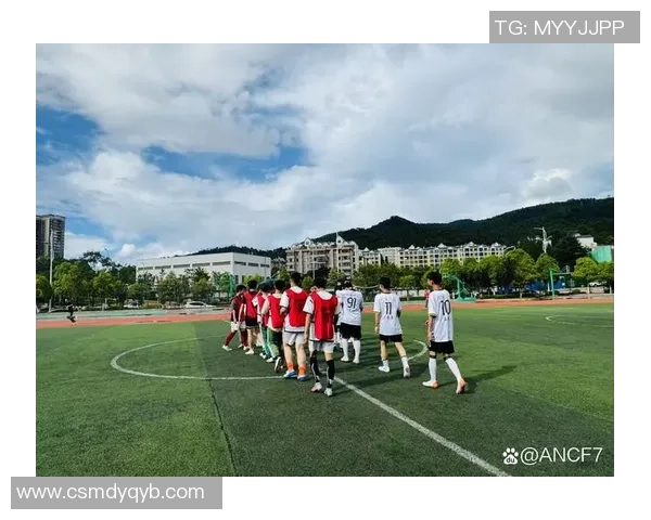 足球明星与观众背影交织的瞬间展现了激情与梦想的完美结合