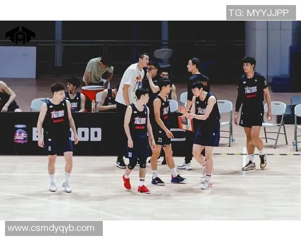 成都篮球队与广州篮球队赛后战术分析与复盘探讨