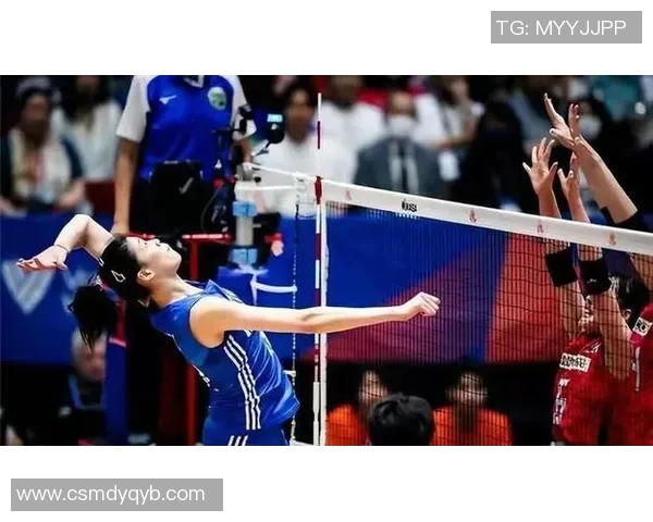 成都排球队节奏之争引发热议球迷与专家观点交锋